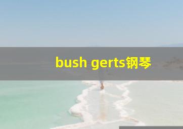 bush gerts钢琴